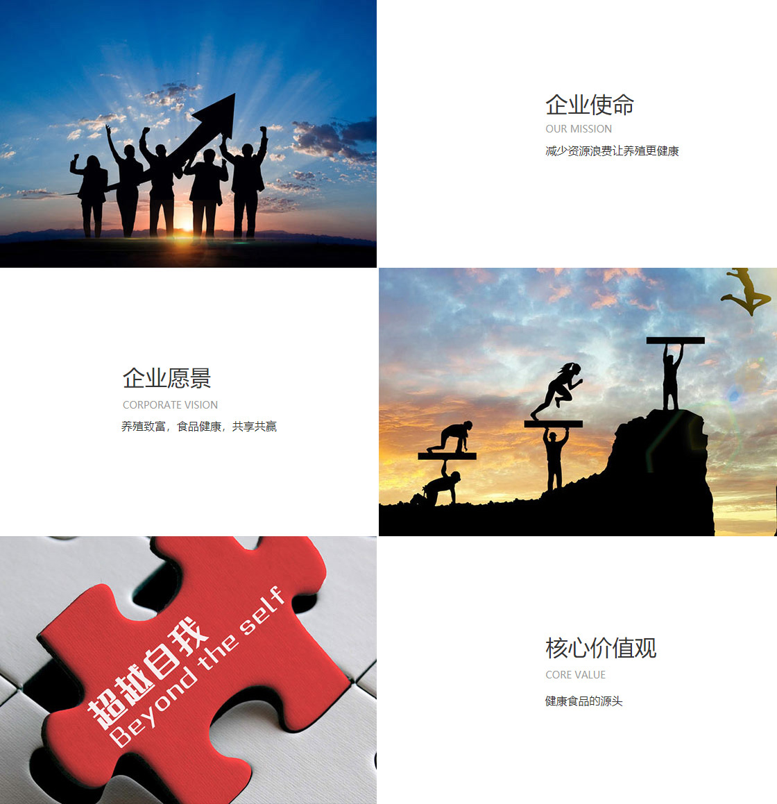 z6尊龙中国官方网站(图1)